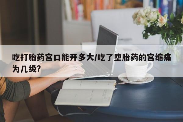 打胎药专卖微信联系方式亲测有效!吃打胎药宫口能开多大/吃了堕胎药的宫缩痛为几级?